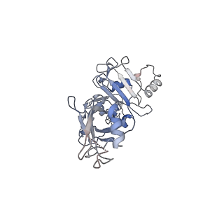 20102_6okr_F_v1-2
CDTb Pre-Insertion form Modeled from Cryo-EM Map Reconstructed using C7 Symmetry