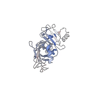 20102_6okr_F_v1-3
CDTb Pre-Insertion form Modeled from Cryo-EM Map Reconstructed using C7 Symmetry