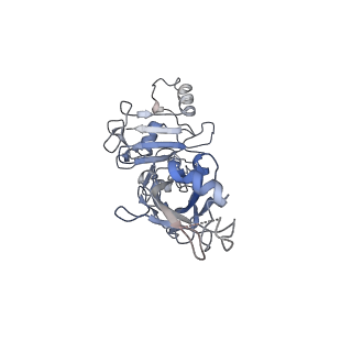 20102_6okr_G_v1-2
CDTb Pre-Insertion form Modeled from Cryo-EM Map Reconstructed using C7 Symmetry