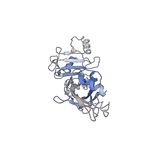 20102_6okr_G_v1-3
CDTb Pre-Insertion form Modeled from Cryo-EM Map Reconstructed using C7 Symmetry