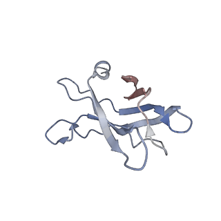 20103_6oks_A_v1-2
CDTb Double Heptamer Long Form Mask 1 Modeled from Cryo-EM Map Reconstructed using C7 Symmetry
