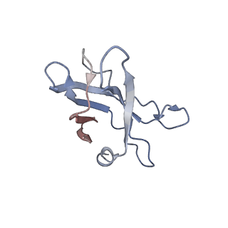 20103_6oks_E_v1-3
CDTb Double Heptamer Long Form Mask 1 Modeled from Cryo-EM Map Reconstructed using C7 Symmetry