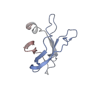 20103_6oks_H_v1-3
CDTb Double Heptamer Long Form Mask 1 Modeled from Cryo-EM Map Reconstructed using C7 Symmetry