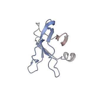 20103_6oks_K_v1-3
CDTb Double Heptamer Long Form Mask 1 Modeled from Cryo-EM Map Reconstructed using C7 Symmetry