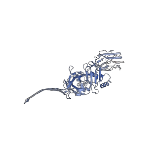 20105_6oku_B_v1-3
CDTb Double Heptamer Long Form Mask 3 Modeled from Cryo-EM Map Reconstructed using C7 Symmetry