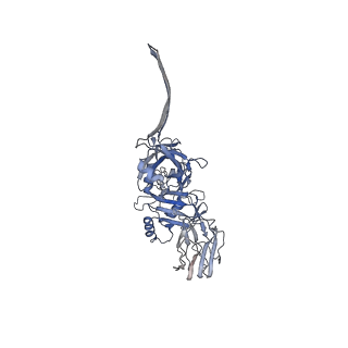 20105_6oku_D_v1-2
CDTb Double Heptamer Long Form Mask 3 Modeled from Cryo-EM Map Reconstructed using C7 Symmetry