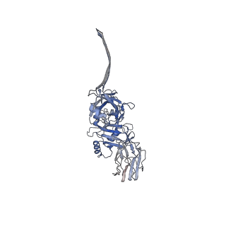 20105_6oku_D_v1-3
CDTb Double Heptamer Long Form Mask 3 Modeled from Cryo-EM Map Reconstructed using C7 Symmetry