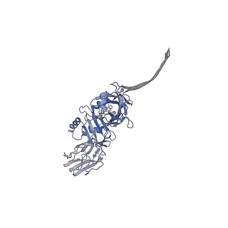 20105_6oku_E_v1-3
CDTb Double Heptamer Long Form Mask 3 Modeled from Cryo-EM Map Reconstructed using C7 Symmetry