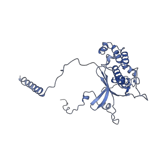 0526_6oli_F_v1-1
Structure of human ribosome nascent chain complex selectively stalled by a drug-like small molecule (USO1-RNC)