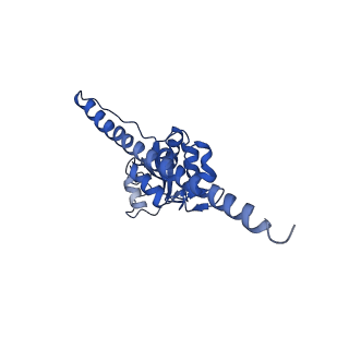 0526_6oli_H_v1-1
Structure of human ribosome nascent chain complex selectively stalled by a drug-like small molecule (USO1-RNC)