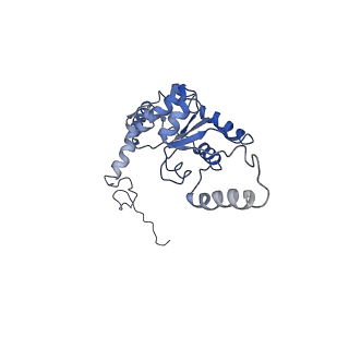 0526_6oli_I_v1-1
Structure of human ribosome nascent chain complex selectively stalled by a drug-like small molecule (USO1-RNC)