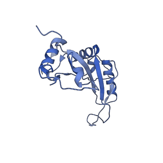 0526_6oli_L_v1-1
Structure of human ribosome nascent chain complex selectively stalled by a drug-like small molecule (USO1-RNC)