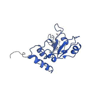 0526_6oli_R_v1-1
Structure of human ribosome nascent chain complex selectively stalled by a drug-like small molecule (USO1-RNC)