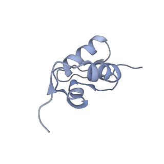 0526_6oli_SZ_v1-1
Structure of human ribosome nascent chain complex selectively stalled by a drug-like small molecule (USO1-RNC)