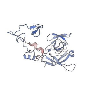 0598_6olz_AA_v1-1
Human ribosome nascent chain complex (PCSK9-RNC) stalled by a drug-like molecule with PP tRNA