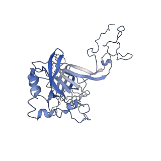 0598_6olz_AB_v1-1
Human ribosome nascent chain complex (PCSK9-RNC) stalled by a drug-like molecule with PP tRNA