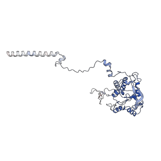 0598_6olz_AC_v1-1
Human ribosome nascent chain complex (PCSK9-RNC) stalled by a drug-like molecule with PP tRNA