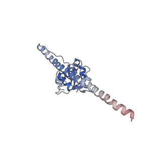 0598_6olz_AF_v1-1
Human ribosome nascent chain complex (PCSK9-RNC) stalled by a drug-like molecule with PP tRNA