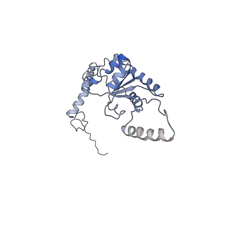 0598_6olz_AG_v1-1
Human ribosome nascent chain complex (PCSK9-RNC) stalled by a drug-like molecule with PP tRNA