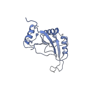 0598_6olz_AJ_v1-1
Human ribosome nascent chain complex (PCSK9-RNC) stalled by a drug-like molecule with PP tRNA