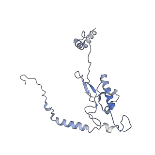 0598_6olz_AL_v1-1
Human ribosome nascent chain complex (PCSK9-RNC) stalled by a drug-like molecule with PP tRNA