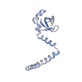 0598_6olz_AM_v1-1
Human ribosome nascent chain complex (PCSK9-RNC) stalled by a drug-like molecule with PP tRNA