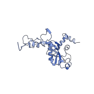 0598_6olz_AN_v1-1
Human ribosome nascent chain complex (PCSK9-RNC) stalled by a drug-like molecule with PP tRNA
