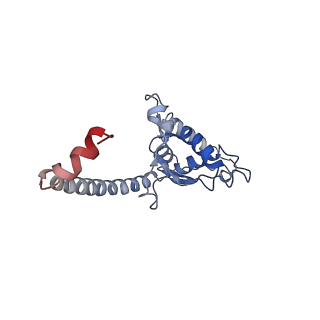 0598_6olz_AO_v1-1
Human ribosome nascent chain complex (PCSK9-RNC) stalled by a drug-like molecule with PP tRNA