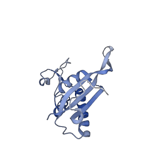 0598_6olz_AP_v1-1
Human ribosome nascent chain complex (PCSK9-RNC) stalled by a drug-like molecule with PP tRNA