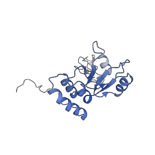 0598_6olz_AQ_v1-1
Human ribosome nascent chain complex (PCSK9-RNC) stalled by a drug-like molecule with PP tRNA