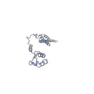 0598_6olz_AR_v1-1
Human ribosome nascent chain complex (PCSK9-RNC) stalled by a drug-like molecule with PP tRNA