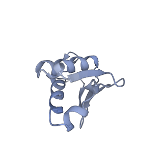 0598_6olz_AU_v1-1
Human ribosome nascent chain complex (PCSK9-RNC) stalled by a drug-like molecule with PP tRNA