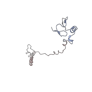 0598_6olz_AW_v1-1
Human ribosome nascent chain complex (PCSK9-RNC) stalled by a drug-like molecule with PP tRNA