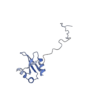 0598_6olz_AX_v1-1
Human ribosome nascent chain complex (PCSK9-RNC) stalled by a drug-like molecule with PP tRNA