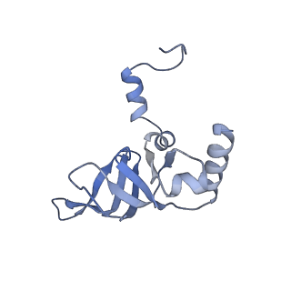 0598_6olz_AY_v1-1
Human ribosome nascent chain complex (PCSK9-RNC) stalled by a drug-like molecule with PP tRNA
