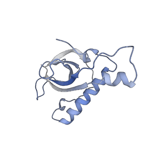 0598_6olz_AZ_v1-1
Human ribosome nascent chain complex (PCSK9-RNC) stalled by a drug-like molecule with PP tRNA