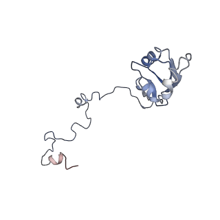 0598_6olz_Aa_v1-1
Human ribosome nascent chain complex (PCSK9-RNC) stalled by a drug-like molecule with PP tRNA