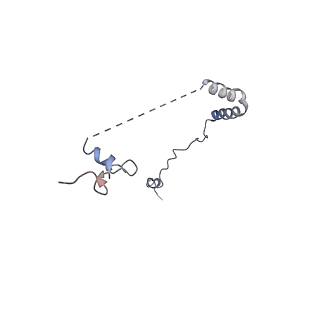 0598_6olz_Ab_v1-1
Human ribosome nascent chain complex (PCSK9-RNC) stalled by a drug-like molecule with PP tRNA