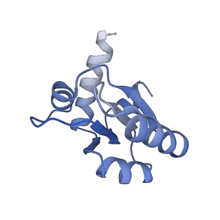0598_6olz_Ac_v1-1
Human ribosome nascent chain complex (PCSK9-RNC) stalled by a drug-like molecule with PP tRNA