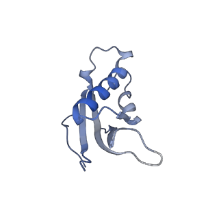 0598_6olz_Ad_v1-1
Human ribosome nascent chain complex (PCSK9-RNC) stalled by a drug-like molecule with PP tRNA