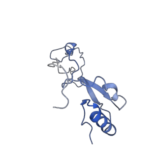 0598_6olz_Ae_v1-1
Human ribosome nascent chain complex (PCSK9-RNC) stalled by a drug-like molecule with PP tRNA