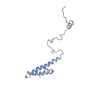 0598_6olz_Ah_v1-1
Human ribosome nascent chain complex (PCSK9-RNC) stalled by a drug-like molecule with PP tRNA
