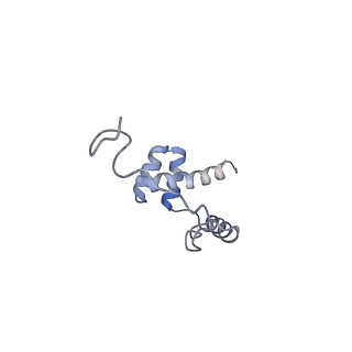 0598_6olz_Ai_v1-1
Human ribosome nascent chain complex (PCSK9-RNC) stalled by a drug-like molecule with PP tRNA