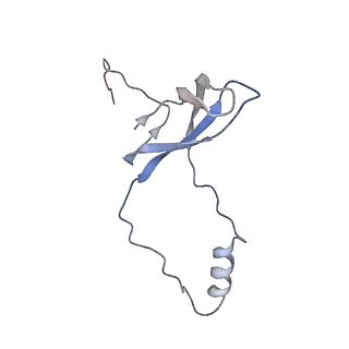 0598_6olz_Ao_v1-1
Human ribosome nascent chain complex (PCSK9-RNC) stalled by a drug-like molecule with PP tRNA