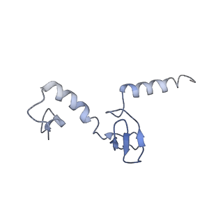 0598_6olz_Ap_v1-1
Human ribosome nascent chain complex (PCSK9-RNC) stalled by a drug-like molecule with PP tRNA