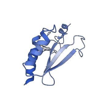 0598_6olz_At_v1-1
Human ribosome nascent chain complex (PCSK9-RNC) stalled by a drug-like molecule with PP tRNA