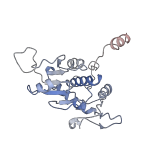 0598_6olz_BA_v1-1
Human ribosome nascent chain complex (PCSK9-RNC) stalled by a drug-like molecule with PP tRNA