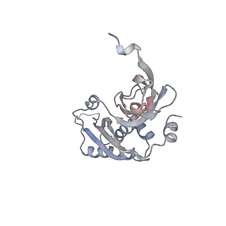 0598_6olz_BB_v1-1
Human ribosome nascent chain complex (PCSK9-RNC) stalled by a drug-like molecule with PP tRNA
