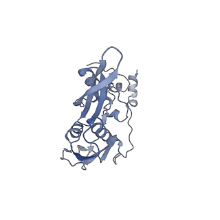 0598_6olz_BC_v1-1
Human ribosome nascent chain complex (PCSK9-RNC) stalled by a drug-like molecule with PP tRNA