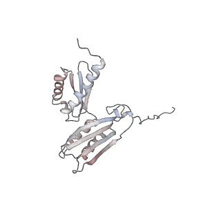 0598_6olz_BD_v1-1
Human ribosome nascent chain complex (PCSK9-RNC) stalled by a drug-like molecule with PP tRNA
